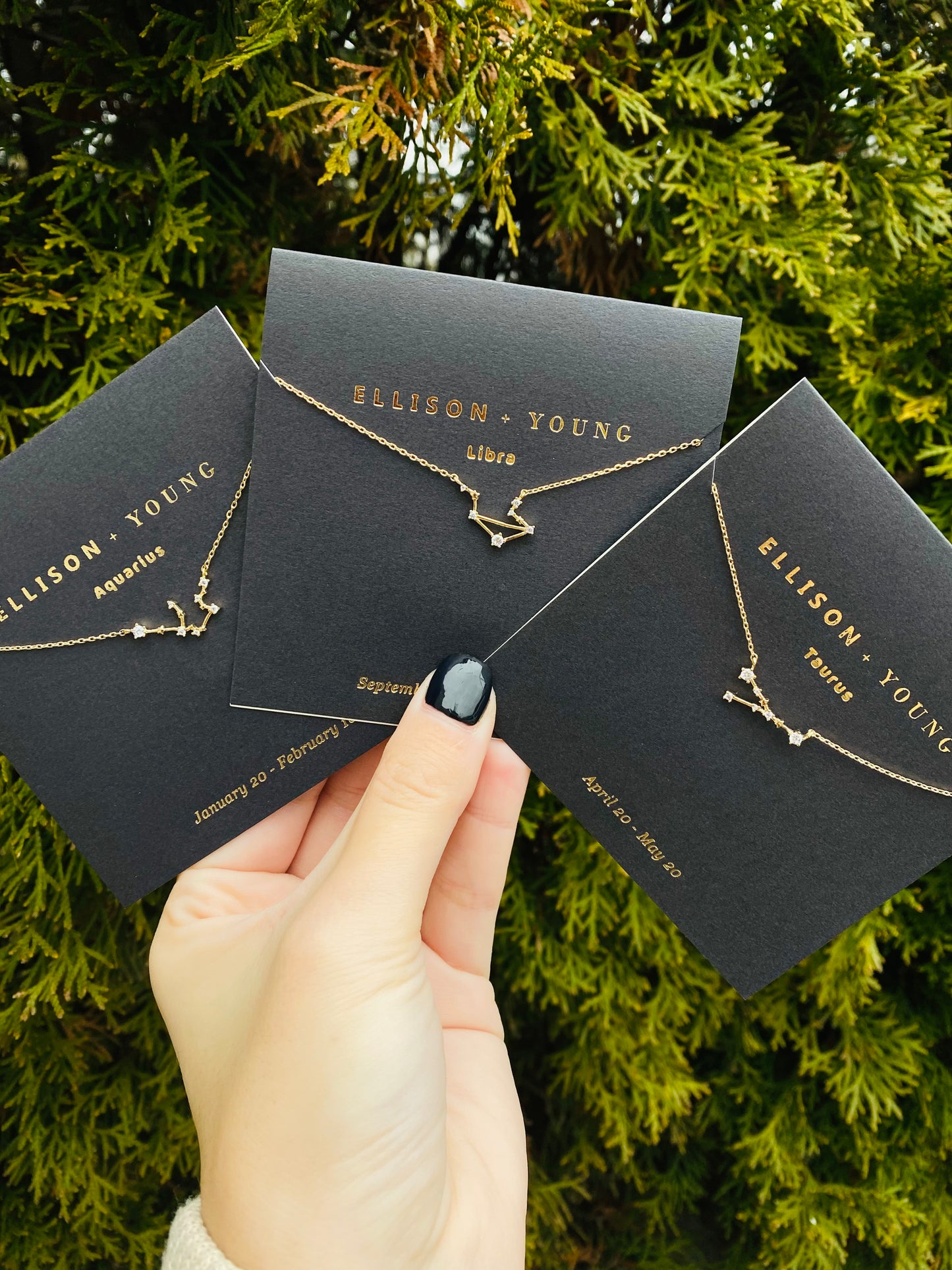 Zodiac Necklace