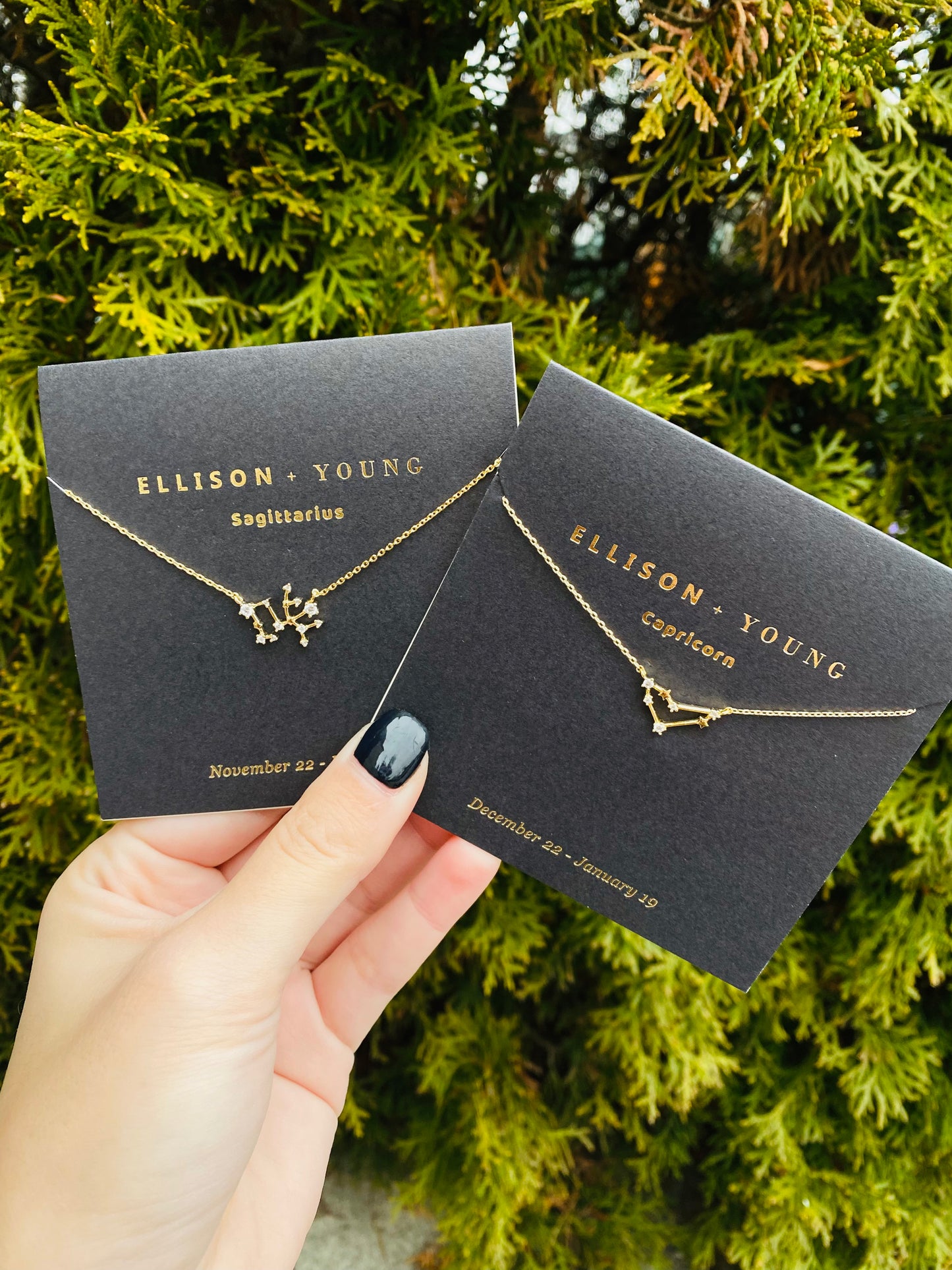 Zodiac Necklace