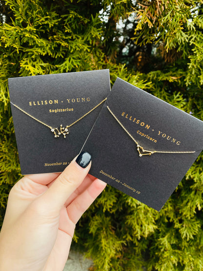 Zodiac Necklace